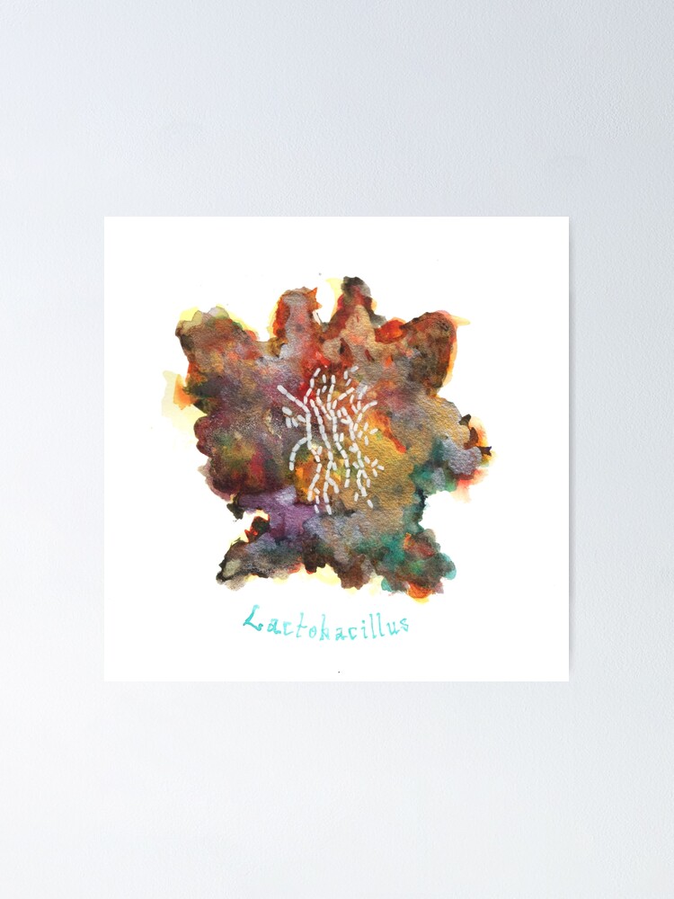 Alternate view of Lactobacillus Art Prints Poster