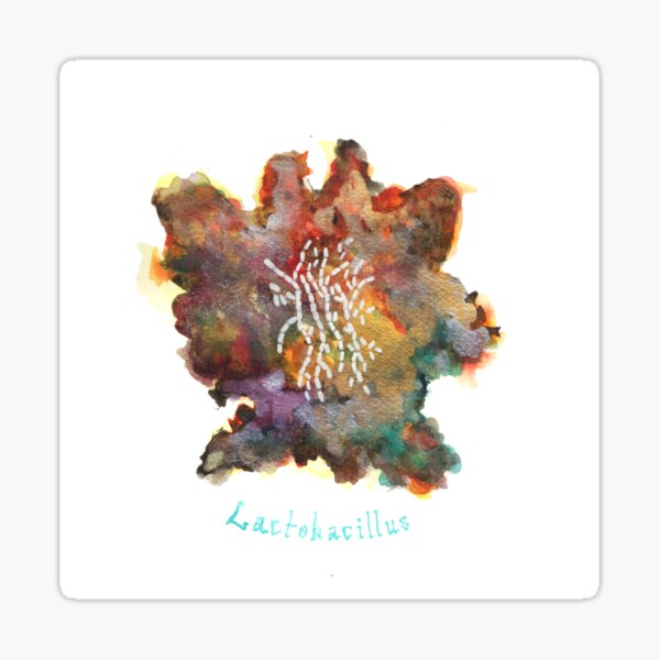 Lactobacillus Art Prints Sticker