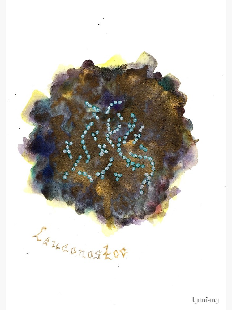 Leuconostoc Art Prints by lynnfang