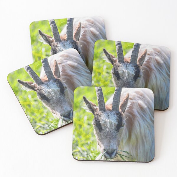 Item preview, Iceland. Reykjavik. Zoo. Goat. designed and sold by vadim19.
