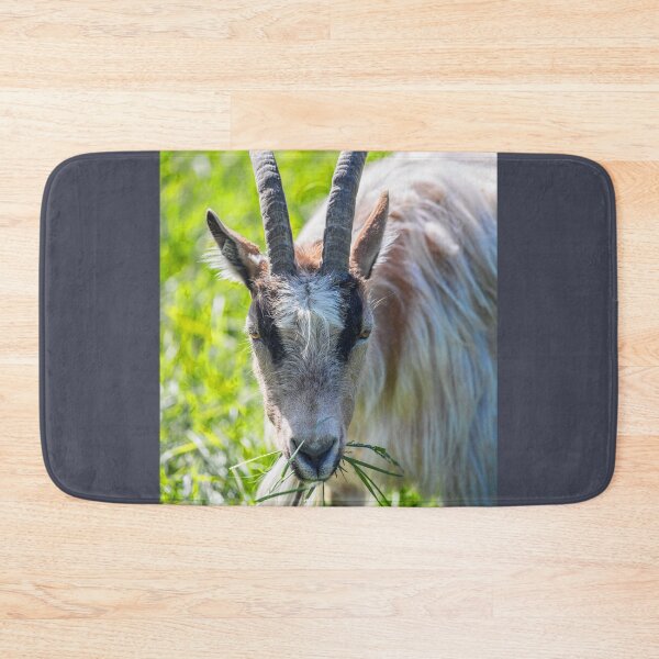 Item preview, Iceland. Reykjavik. Zoo. Goat. designed and sold by vadim19.