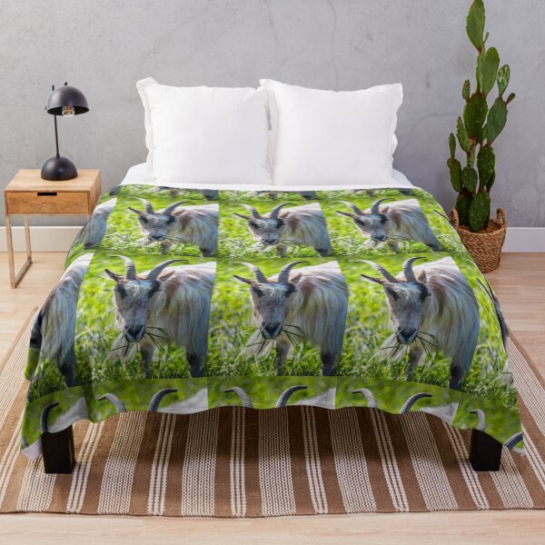 Item preview, Iceland. Reykjavik. Zoo. Goat. designed and sold by vadim19.