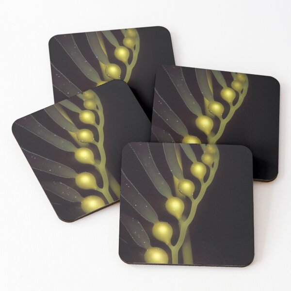 Giant Kelp helix Coasters (Set of 4)