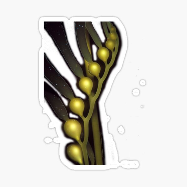 Giant Kelp helix Sticker