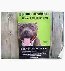 posted Poster