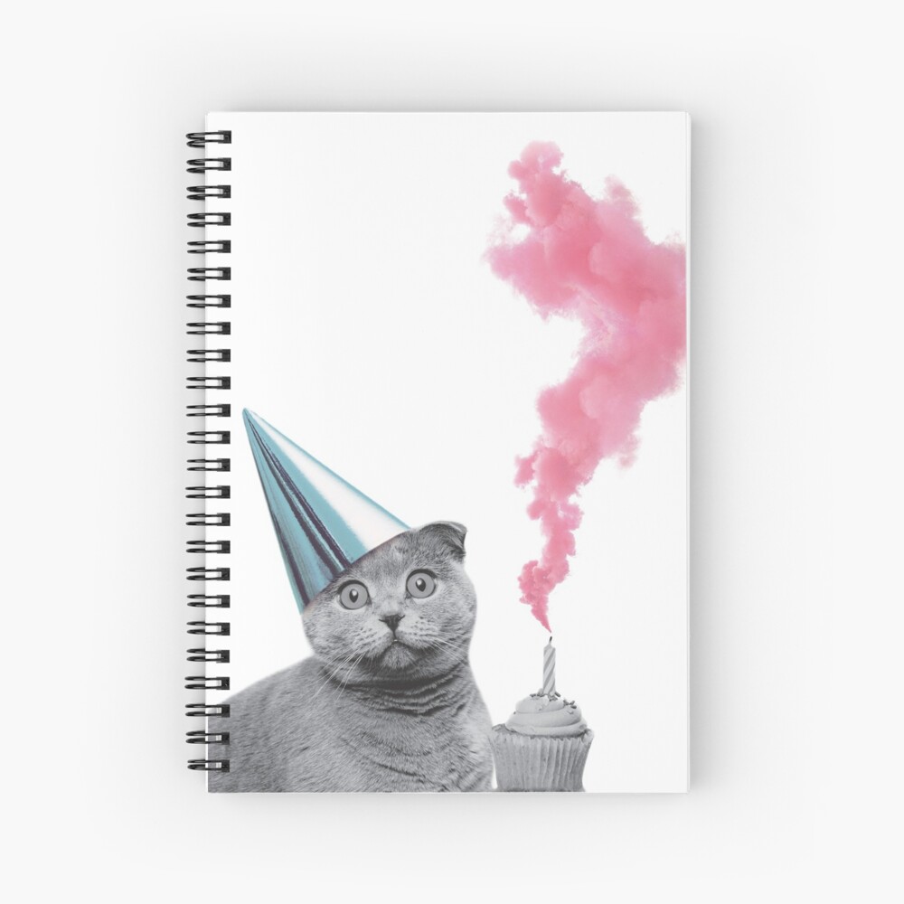 Impression Artistique Chat Avec Chapeau D Anniversaire Cupcake Et Bougie Par Picipixel Redbubble