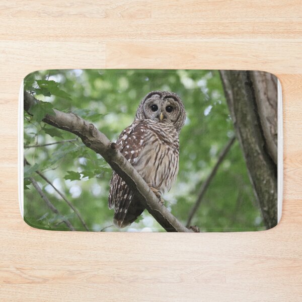 Item preview, Barred Owl designed and sold by Sheryl Hopkins.