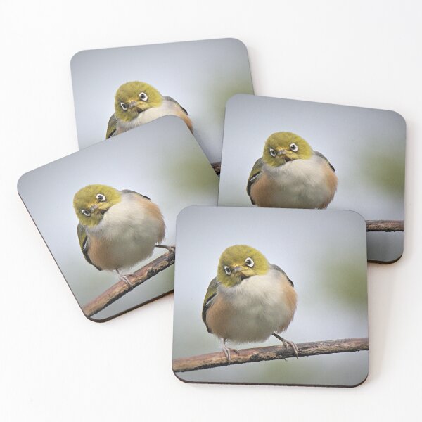 Item preview, Silvereye - All on my own. designed and sold by Roy  Massicks.