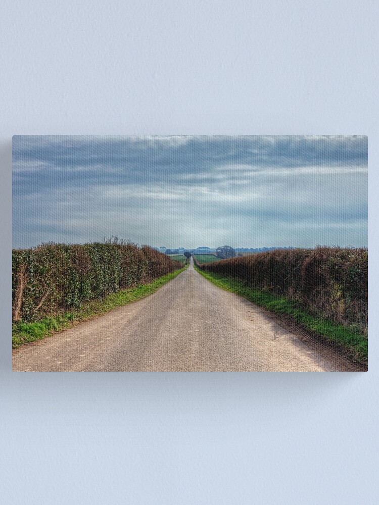 Alternate view of The Long Walk, near Winchester Canvas Print
