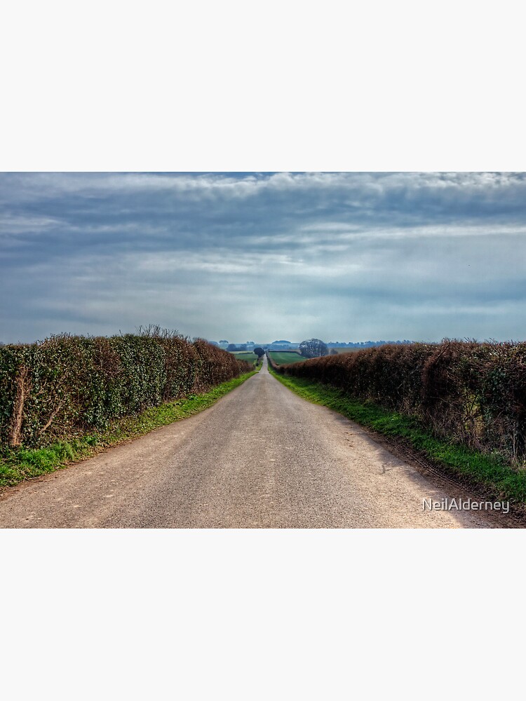 The Long Walk, near Winchester by NeilAlderney