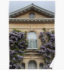 Wisteria Window Poster