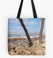 grand marais Tote Bag
