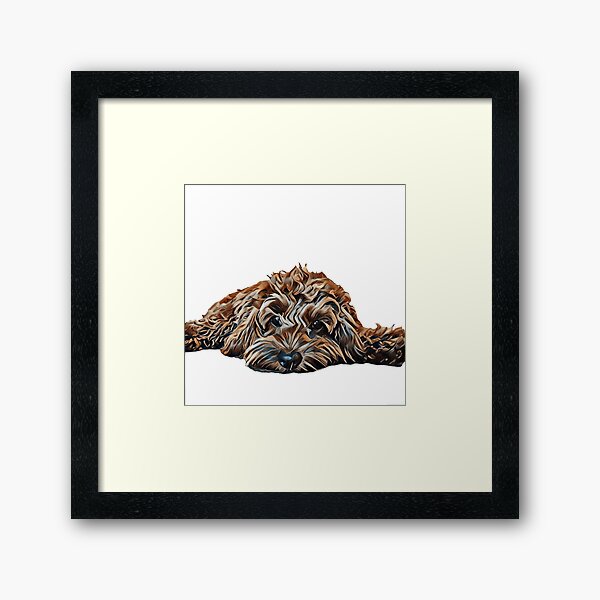 Item preview, Chocolate/Brown Cockapoo - White Background designed and sold by BernerAndBasset.
