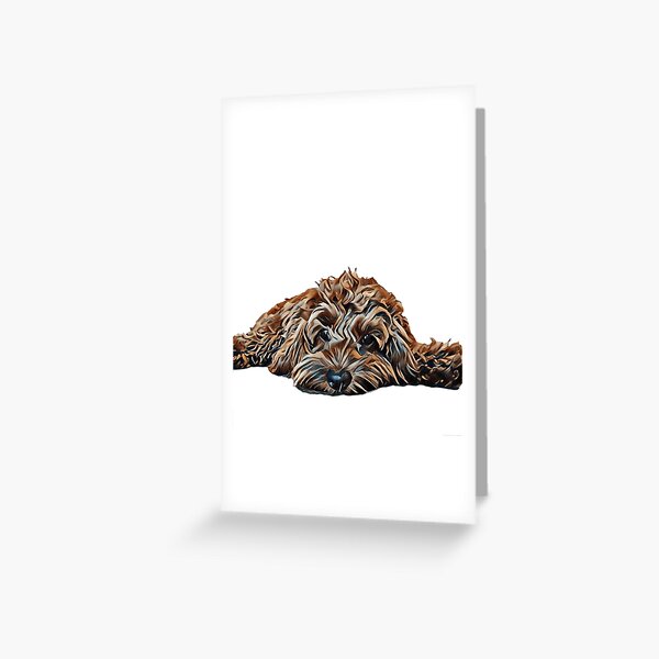 Chocolate/Brown Cockapoo - White Background Greeting Card