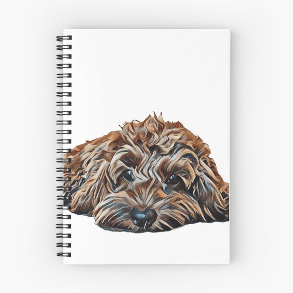 Item preview, Chocolate/Brown Cockapoo - White Background designed and sold by BernerAndBasset.