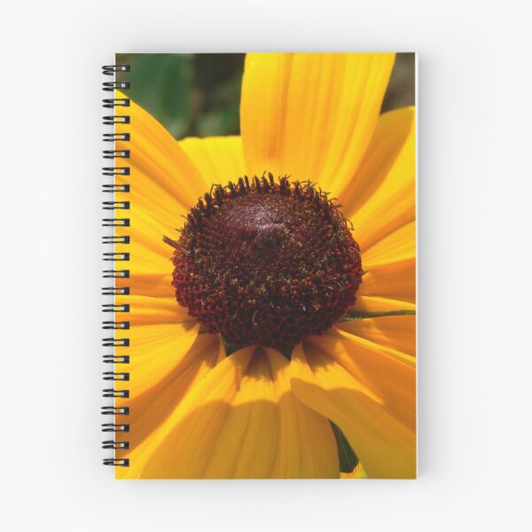 Item preview, Black-Eyed Susan designed and sold by Yannik Hay.