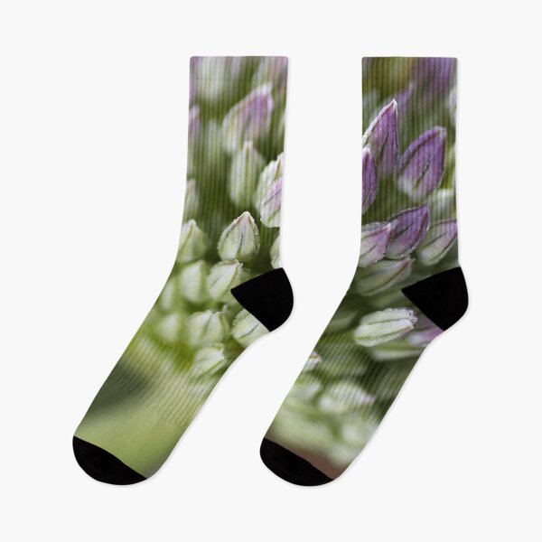 Artikelvorschau, Knoblauch-Blumen-Grüns zu Lila entworfen und verkauft von Joy Watson - Natural Light Photography .