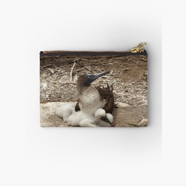 Artikelvorschau, Blue Footed Boobie und Küken auf einem Nest entworfen und verkauft von rhamm.