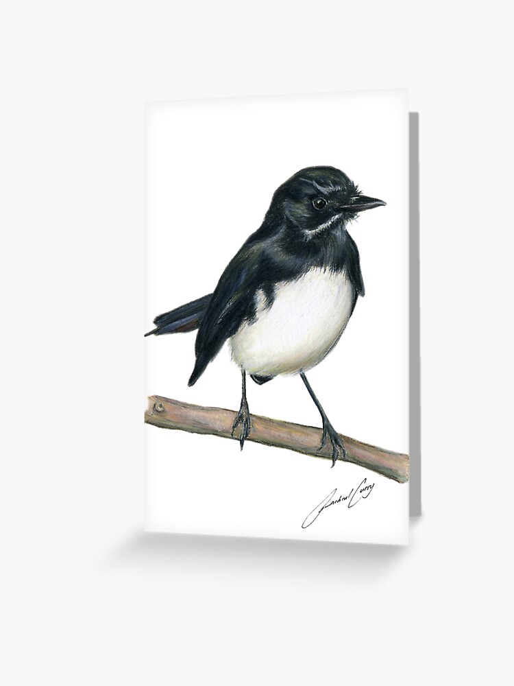 Art d oiseau Willie Bergeronnette avec signature. De jolis petits cadeaux d oiseaux noirs et blancs Carte de v ux