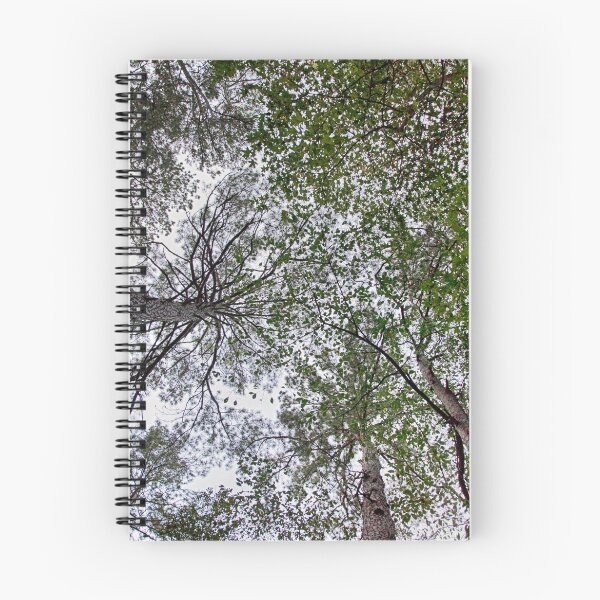 Item preview, Look Up designed and sold by Texas Enfocus Photography.