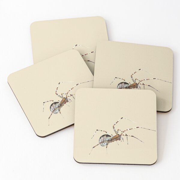 Item preview, Female Hammock Spider designed and sold by WanderingMogwai.