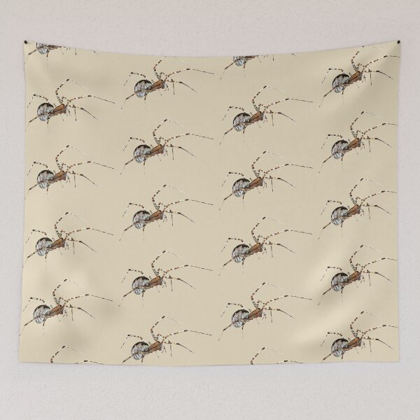 Item preview, Female Hammock Spider designed and sold by WanderingMogwai.