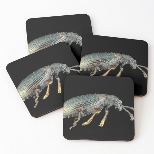 Item preview, Very small fungus beetle under the microscope designed and sold by SDym Photography.