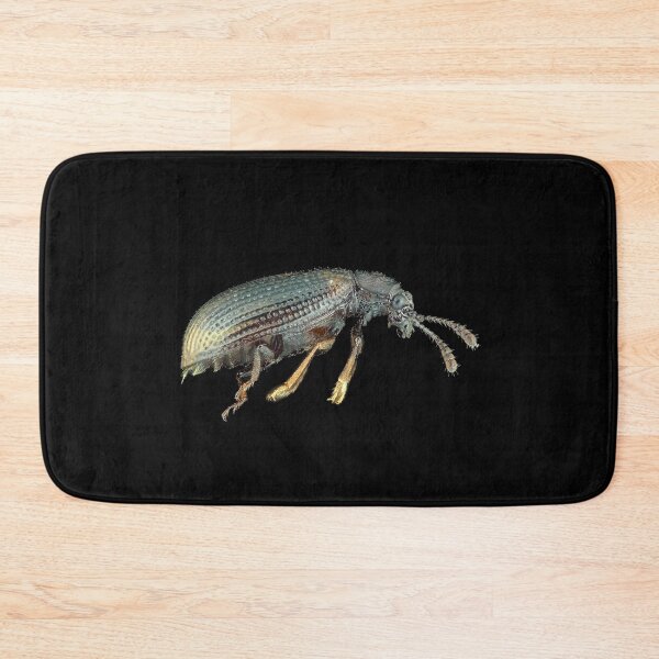 Item preview, Very small fungus beetle under the microscope designed and sold by SDym Photography.
