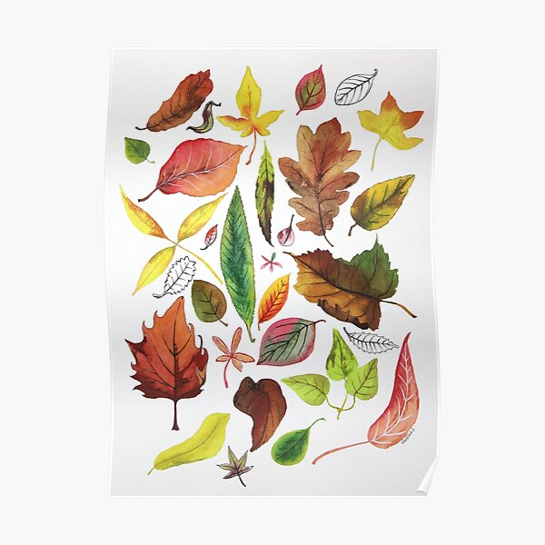Autumn leaves Poster