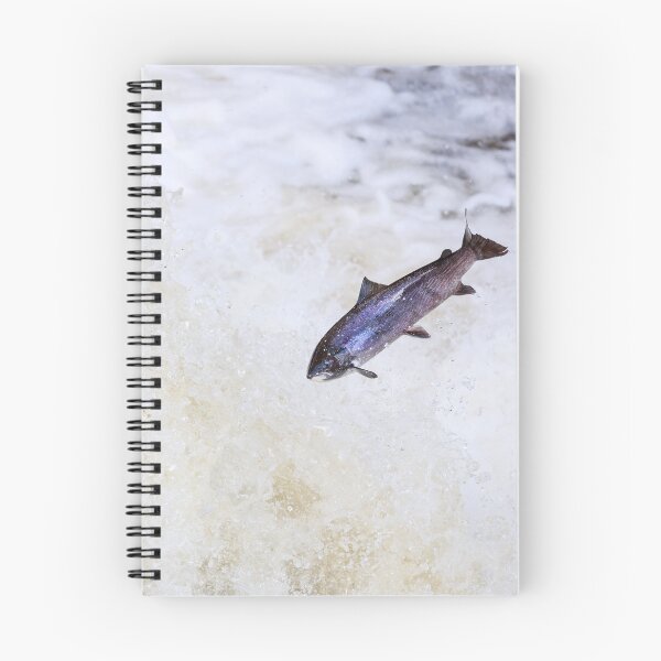 Item preview, leaping salmon designed and sold by chanonry.