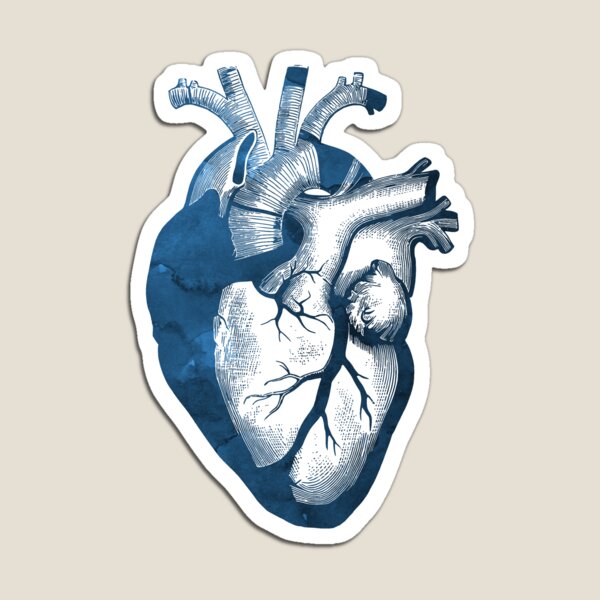 Item preview, Anatomical Heart Art designed and sold by TheJollyMarten.
