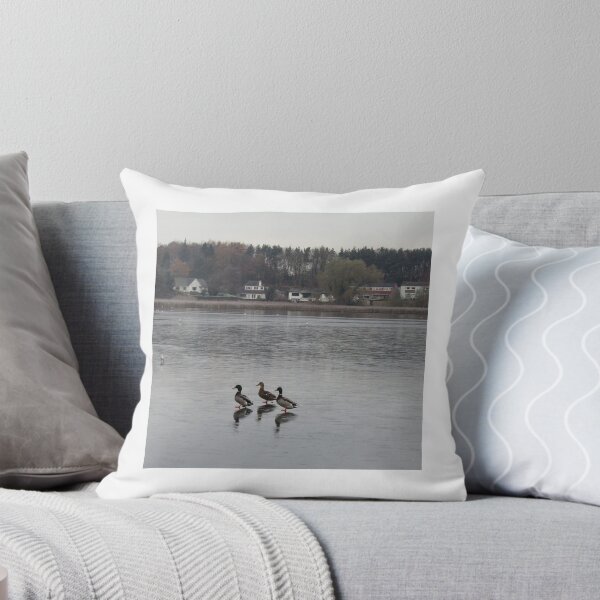 Item preview, Ducks skating on frozen Loch designed and sold by LynneBlair.