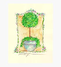 Fleurs Pour Jeanne Photographic Print