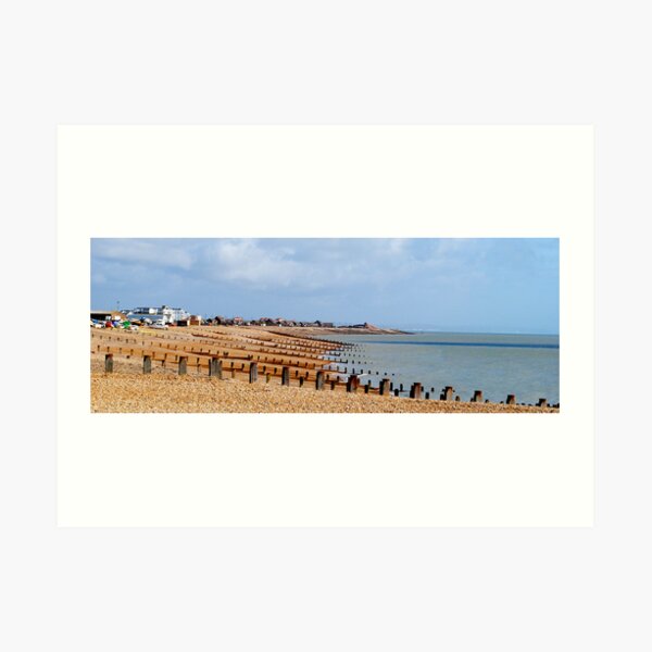 Shingle Art Print