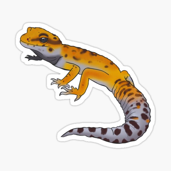 Leopard Gecko Sticker