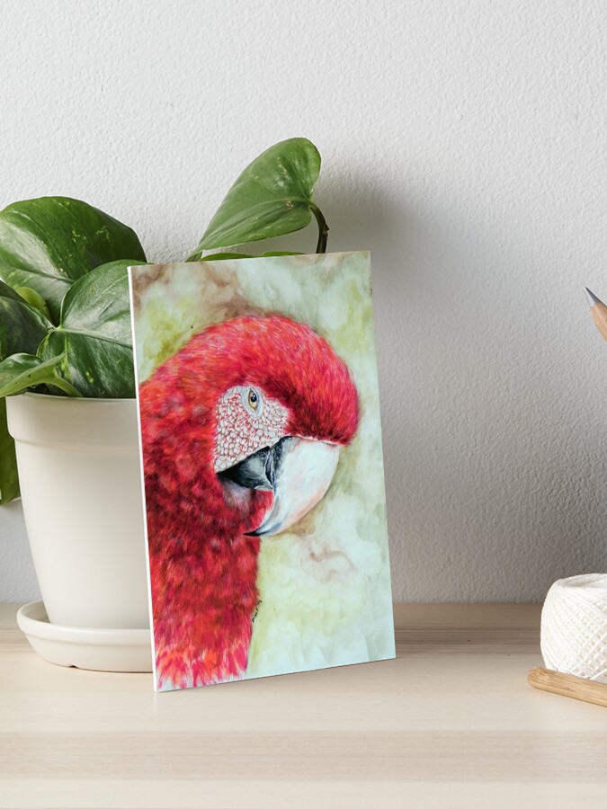 Red Parrot Loro Rojo Perroquet Rouge Art Board Print By Pauchilei Redbubble