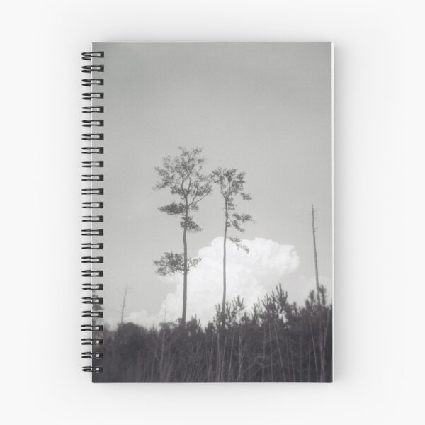 Item preview, Chasing Clouds designed and sold by Jane Dorn.