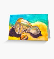 Shells in Paradise Greeting Card