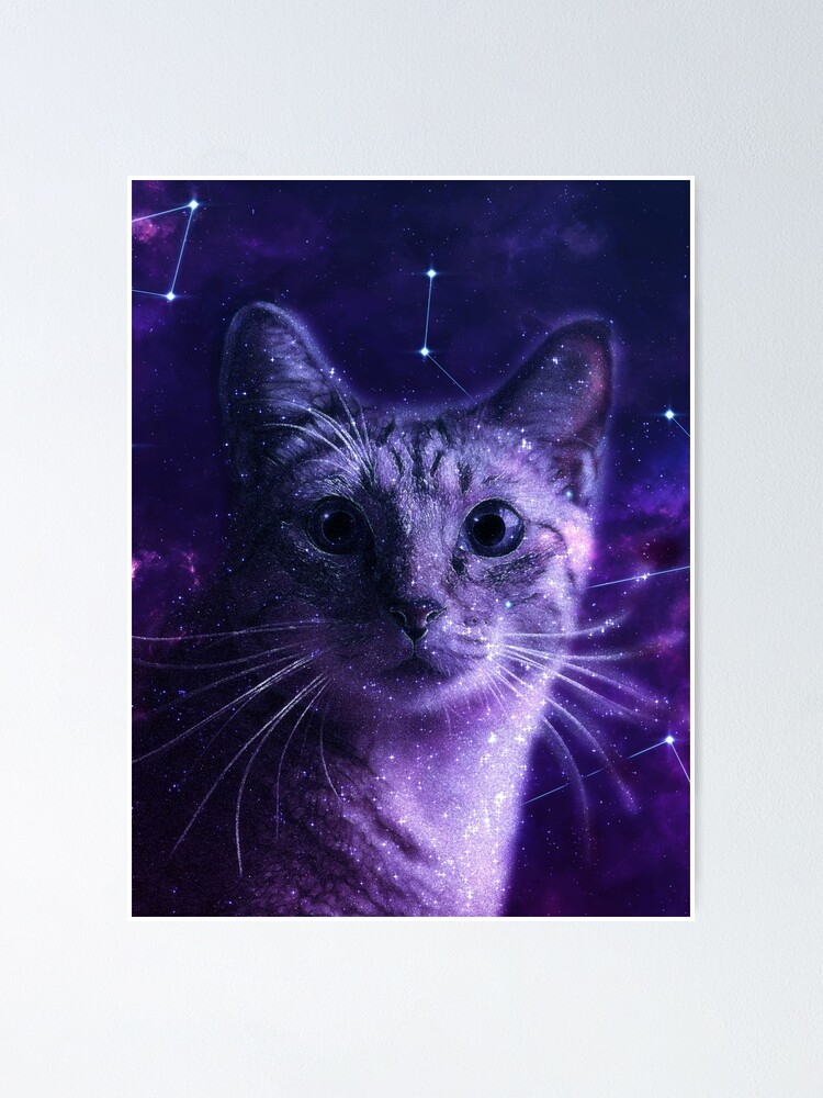 Galaxy Cat DJ | Poster