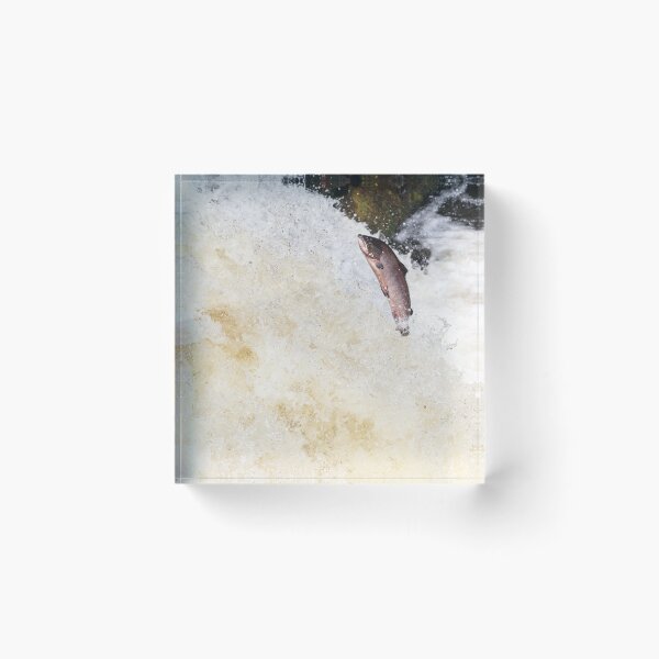 Item preview, Copy of leaping salmon designed and sold by chanonry.