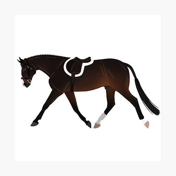 Item preview, Dark Bay Hunter Horse - Equine Rampaige designed and sold by equinerampaige.
