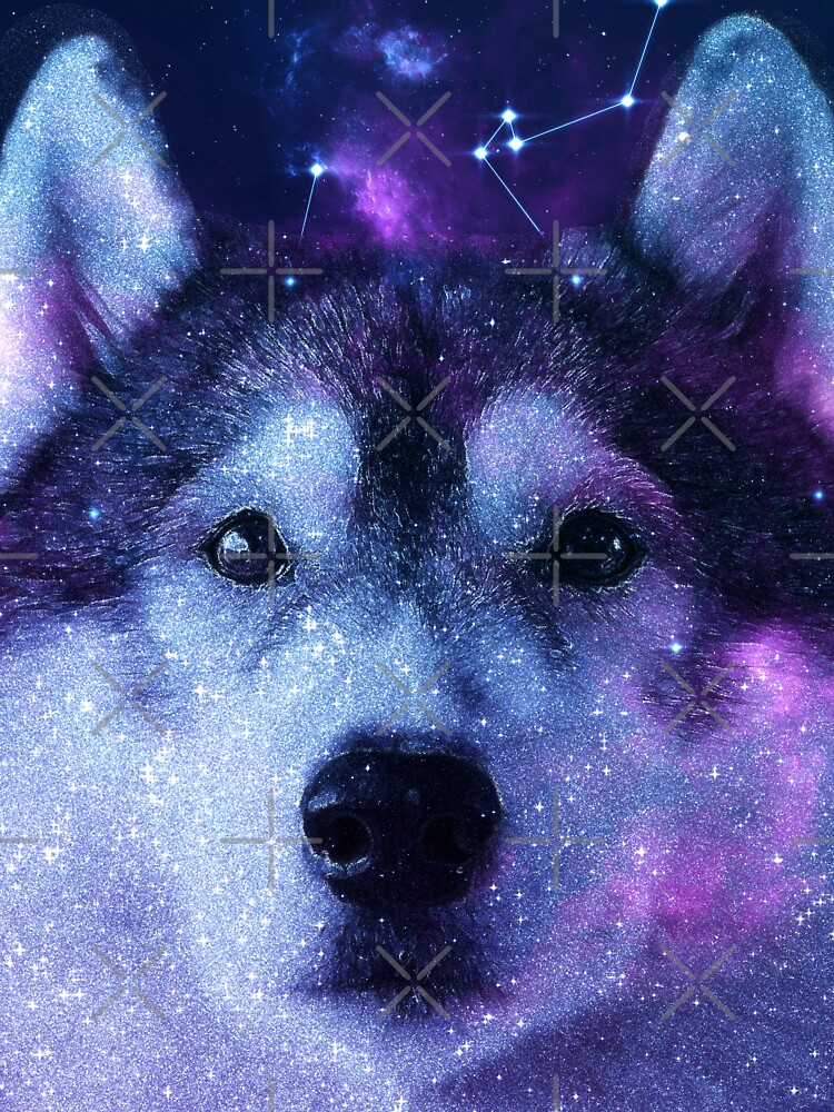 Cute Galaxy Siberian Husky Kids T-Shirt