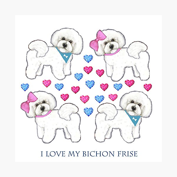 Item preview, Bichon Frise dogs on periwinkle blue designed and sold by MagentaRose.