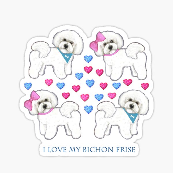 Bichon Frise dogs on periwinkle blue Sticker