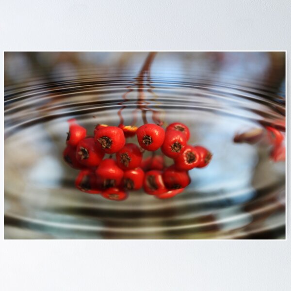 Item preview, Fruity Water designed and sold by Katagram.