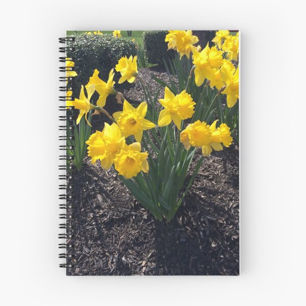 Item preview, Yellow Daffodil designed and sold by AmandaWardrop.