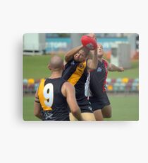 Spoil the Mark Metal Print
