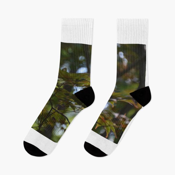 Item preview, Sun-Kissed Japanese Maple  designed and sold by catarro.