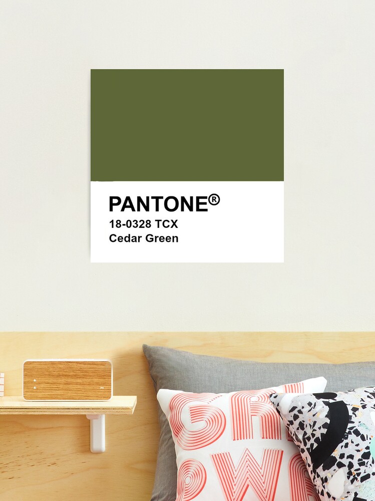 colors — Pantone 18-0328 TCX Cedar Green