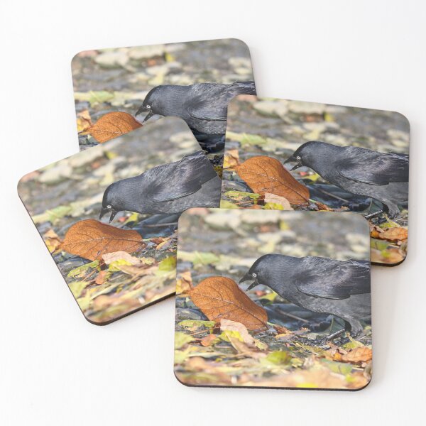 Item preview, Who put all these leaves here? designed and sold by GreyFeatherPhot.
